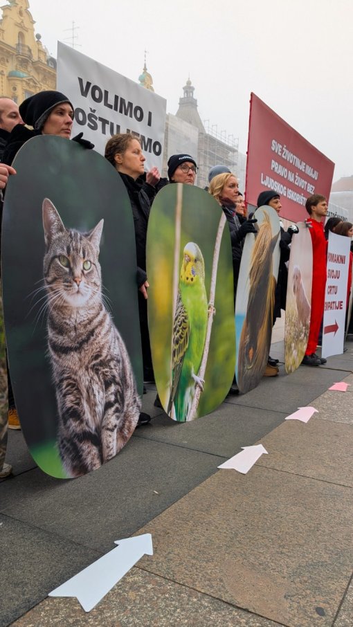 performans 2025 [ 284.87 Kb ]