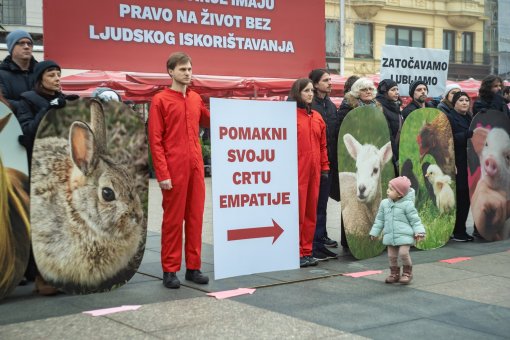 performans 2025 [ 551.82 Kb ]