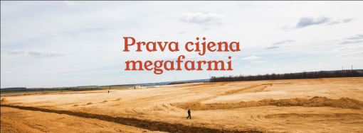 megafarme izlo�ba [ 1.01 Mb ]