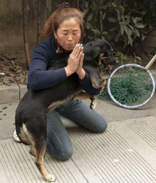 Kina: Zakon "O jednom psu", oduzimanje psa (1)