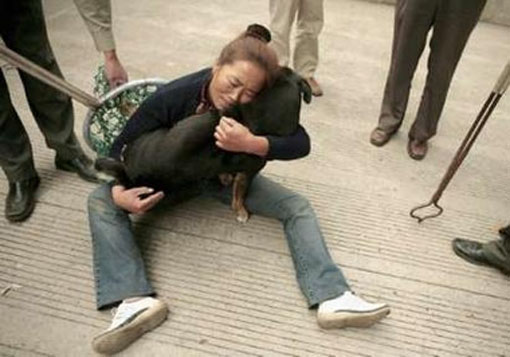 Kina: Zakon "O jednom psu", oduzimanje psa (2)