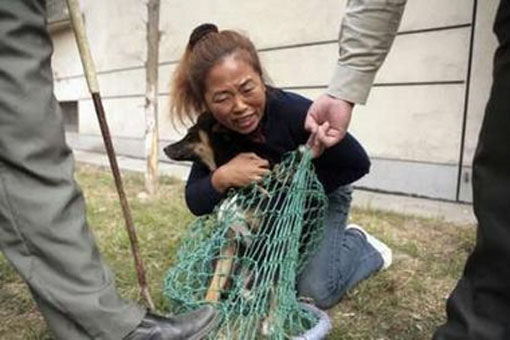 Kina: Zakon "O jednom psu", oduzimanje psa (3)