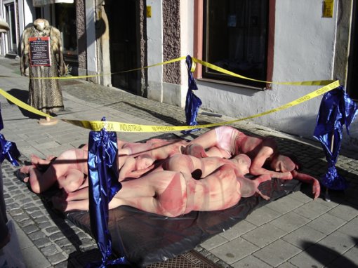 Performans protiv krzna u Mariboru1