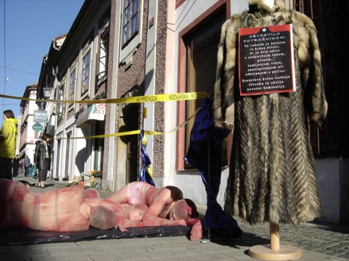 Performans protiv krzna u Mariboru3