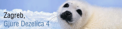 Demo against the seal slaughter in Canda. [en]