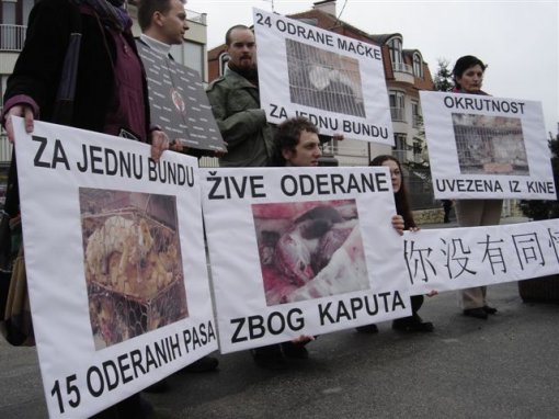 Protest in front of the Chinese Embassy 2