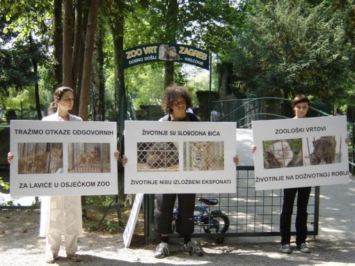 At life sentence 2 [ 152.80 Kb ]