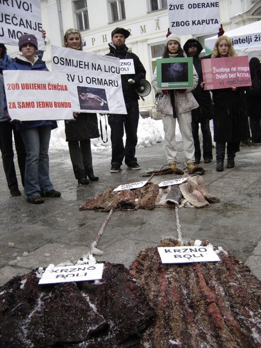 Prosvjed protiv krzna u Sarajevu 3 [ 214.22 Kb ]