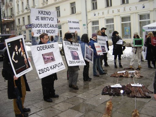 Prosvjed protiv krzna u Sarajevu 5 [ 133.08 Kb ]