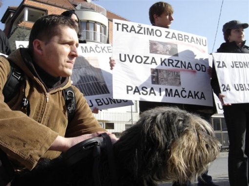 Dog and Cat Fur Coat [ 80.85 Kb ]