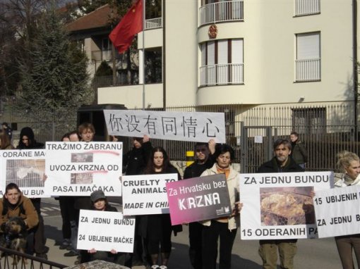 Dog and Cat Fur Coat2 [ 84.35 Kb ]