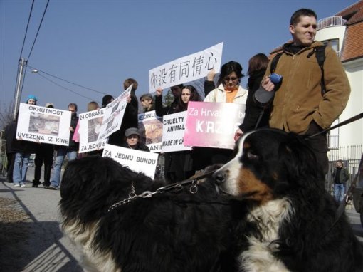 Dog and Cat Fur Coat 3 [ 68.73 Kb ]