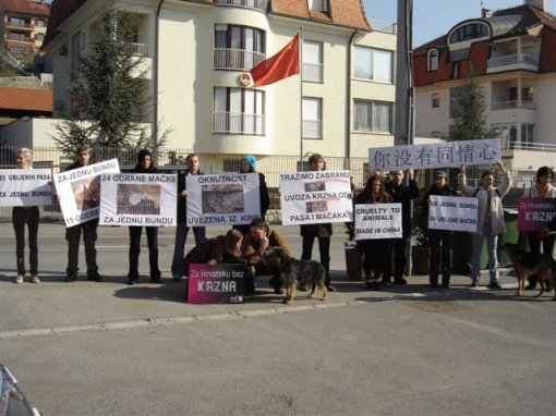 Dog and Cat Fur Coat4 [ 84.38 Kb ]