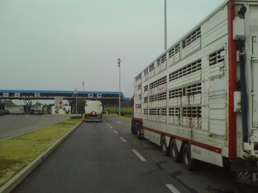 Krave na bosansko-hrvatskoj granici [ 338.42 Kb ]