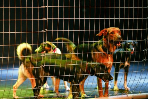 Monta�stroj: Timbuktu [ 157.94 Kb ]