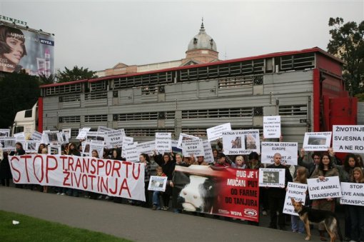 Protest against live animal transport 4 [ 105.26 Kb ]