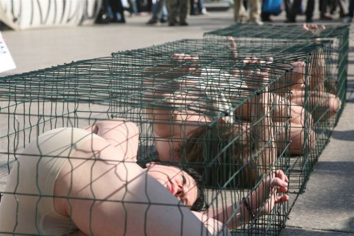 Prosvjed protiv krzna Zagreb 2009 g [ 147.02 Kb ]