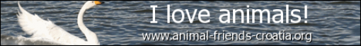 I love animals! - eng