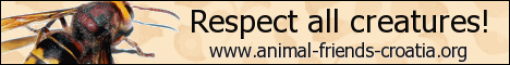 Respect all creatures! - eng