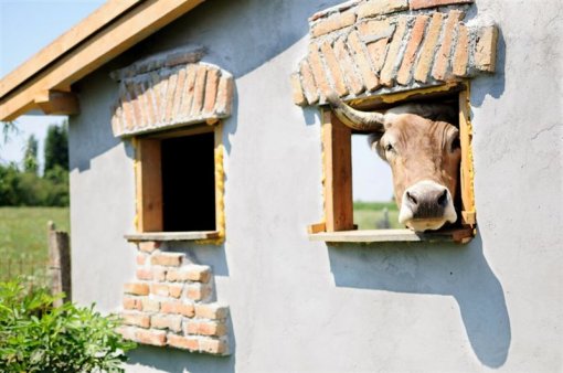 Ianua Sanctuary 4 [ 79.31 Kb ]