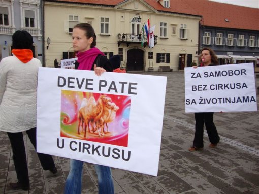 Protest against circuses in Samobor 1 [ 104.69 Kb ]