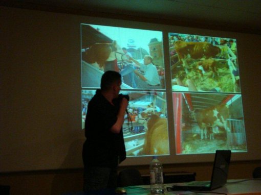 Tale of a Happy Cow and a Carefree Calf 2 [ 53.22 Kb ]