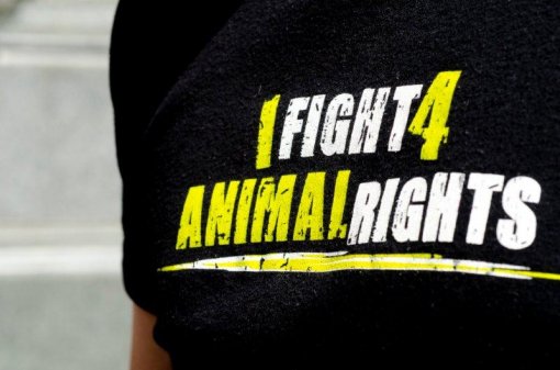 ZeGeVege 2012 [ 61.28 Kb ]