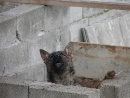 Picture was taken 12.03.2013. in Maria Snje�na [ 54.31 Kb ]