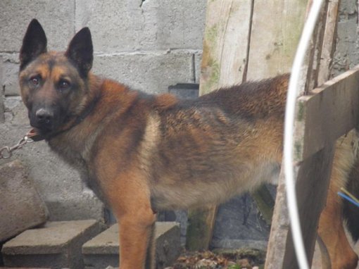 Picture was taken 12.03.2013. in Maria Snje�na [ 74.02 Kb ]