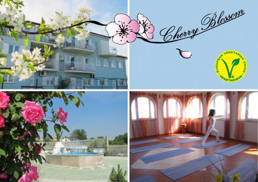 Pansion Cherry Blossom [ 253.85 Kb ]