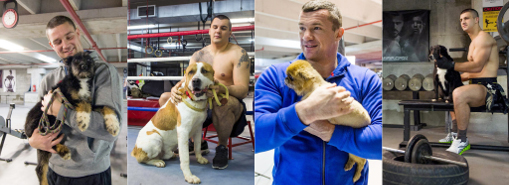 Choose your battles [ 1.09 Mb ]