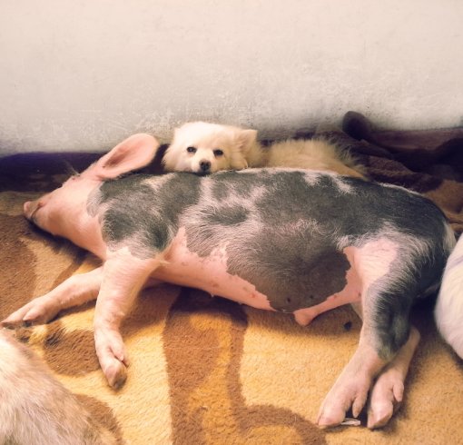 Pra��i� 2 [ 462.55 Kb ]