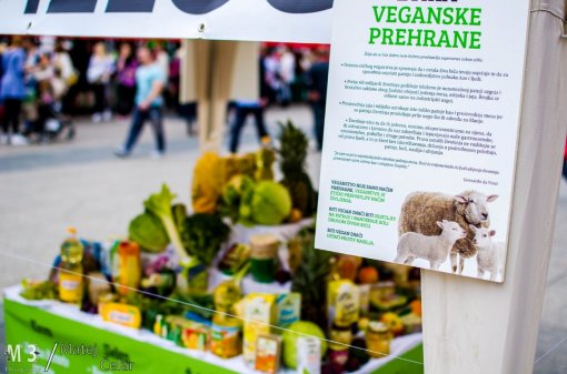 ZeGeVege Festival [ 225.68 Kb ]