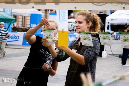 ZeGeVege 2015 [ 210.86 Kb ]