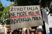 Hrvatska treba posebnu Inspekciju za za�titu �ivotinja